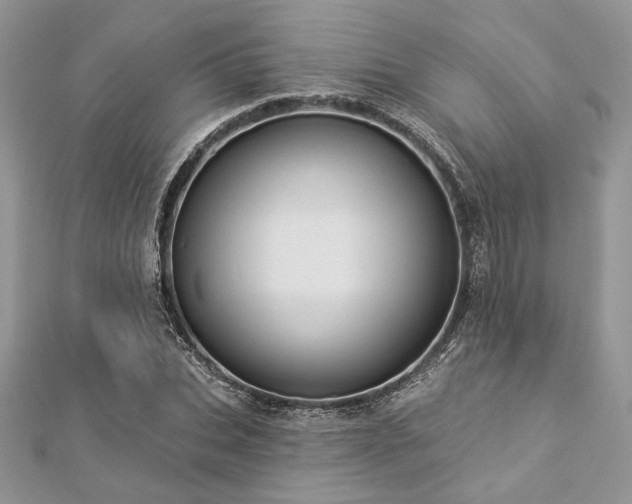 X0000112820927200908211203