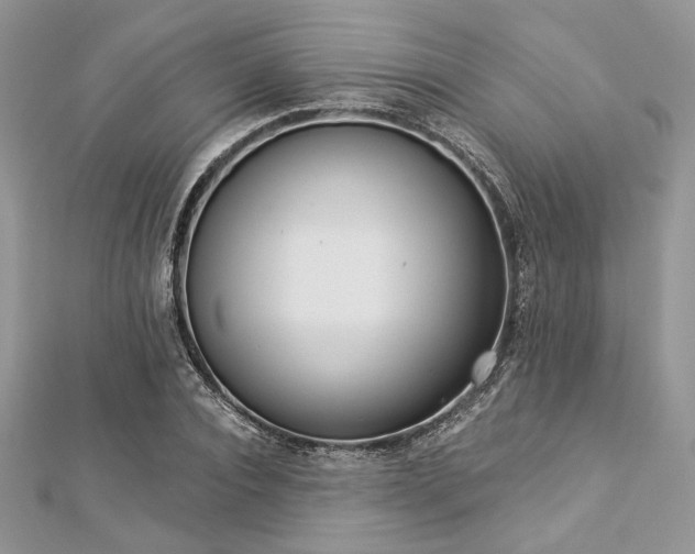 X0000112820928200908211203