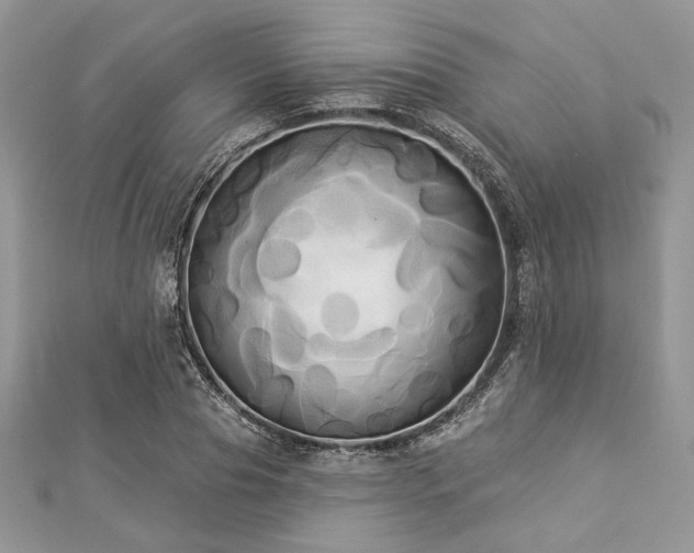 X0000112820929200908211203