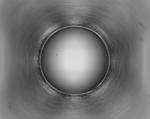 X0000112820930200908211203