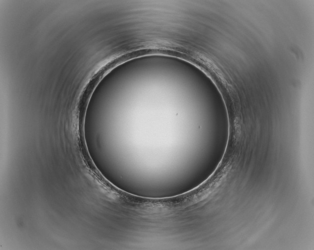 X0000112820931200908211203