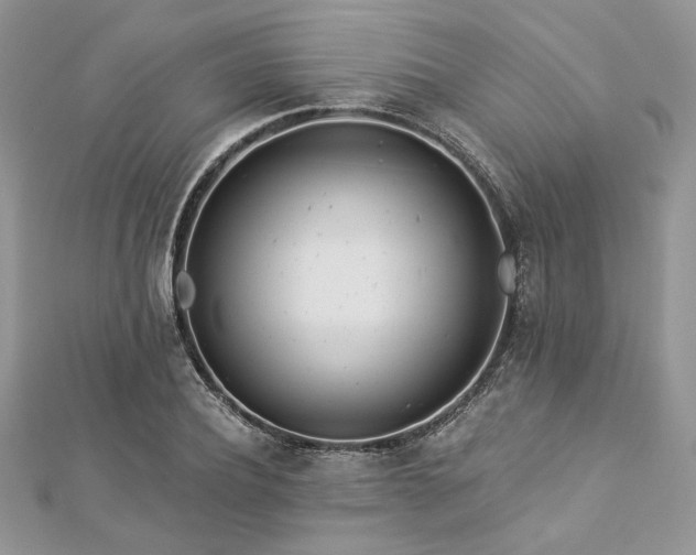 X0000112820932200908211203