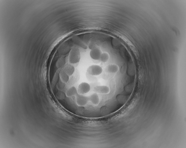 X0000112820933200908211203