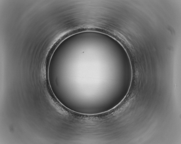 X0000112820934200908211203