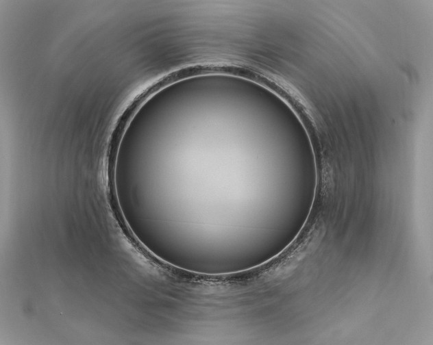 X0000112820935200908211203