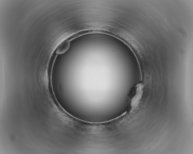 X0000112820936200908211203