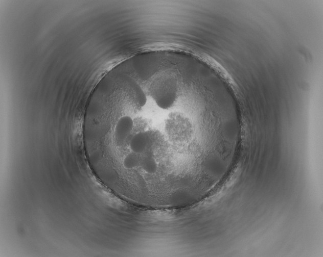 X0000112820937200908211203