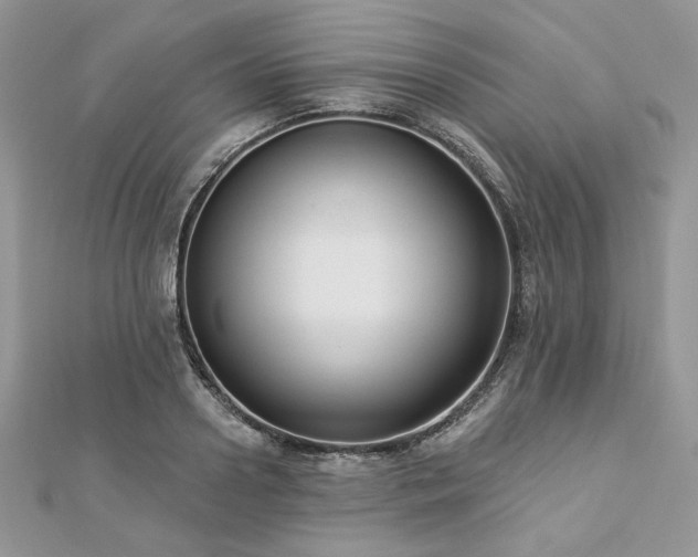 X0000112820938200908211203