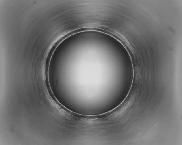 X0000112820939200908211203