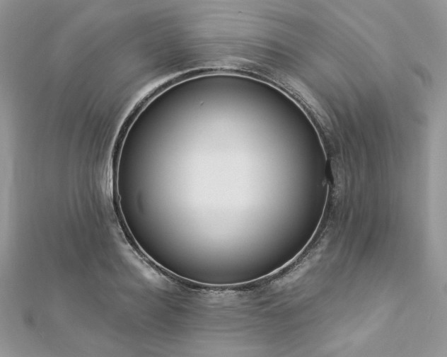 X0000112820940200908211203