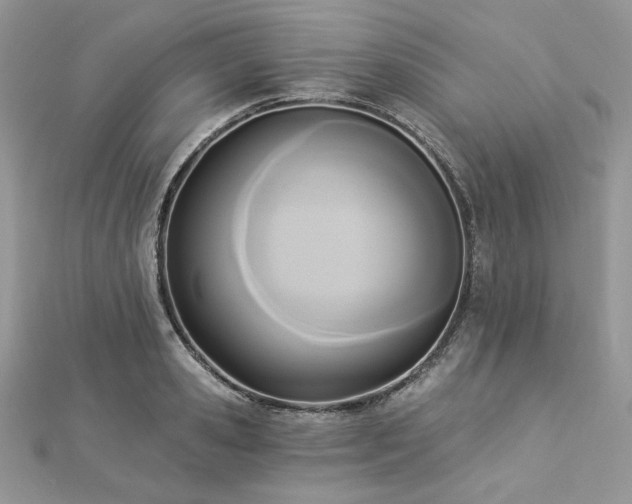 X0000112820941200908211203