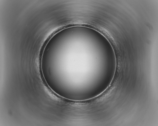 X0000112820942200908211203