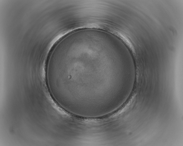 X0000112820944200908211203