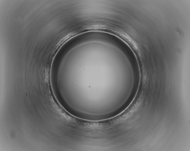 X0000112820945200908211203