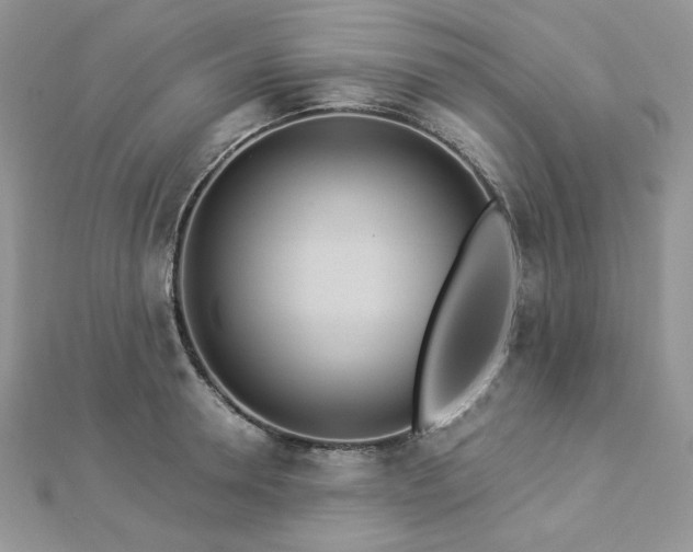 X0000112820946200908211203