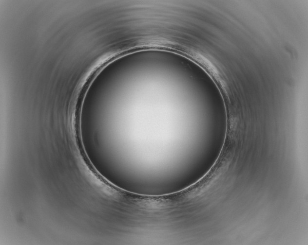 X0000112820947200908211203