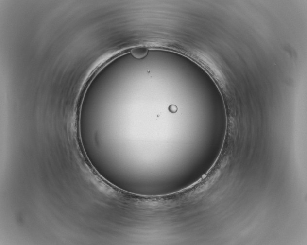 X0000112820948200908211203