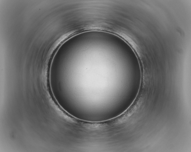 X0000112820949200908211203