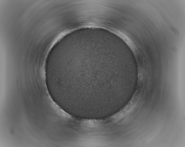 X0000112820950200908211203