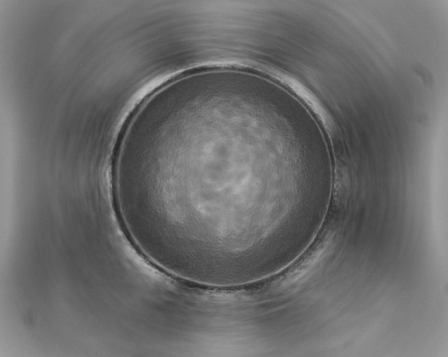 X0000112820951200908211203