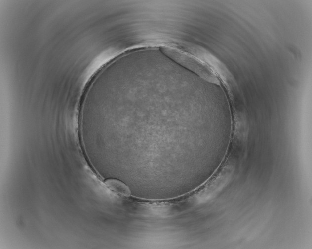 X0000112820952200908211203