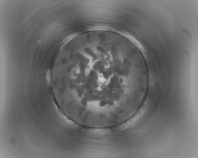 X0000112820953200908211203