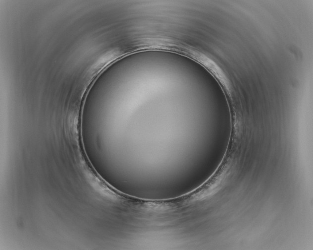 X0000112820954200908211203