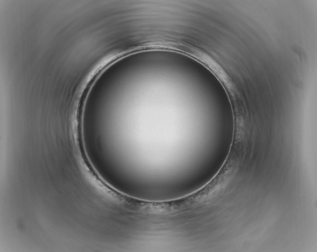 X0000112820955200908211203