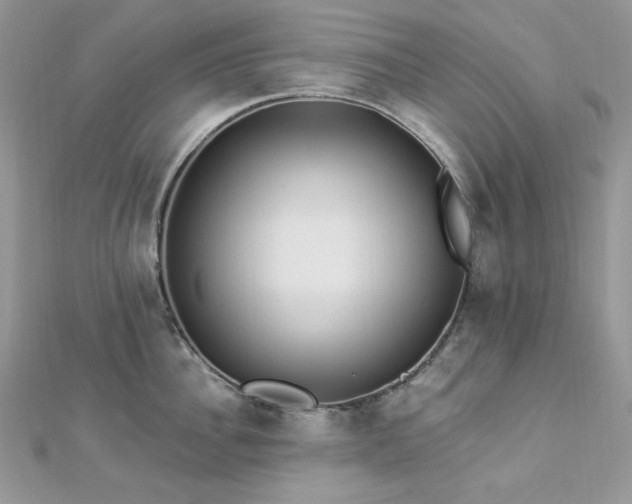 X0000112820956200908211203