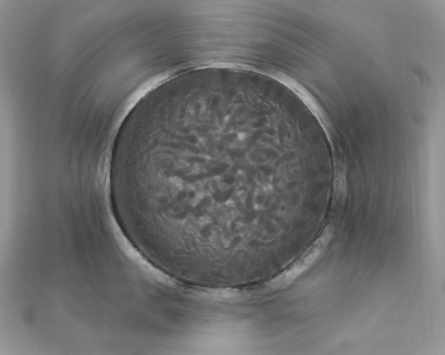 X0000112820957200908211203