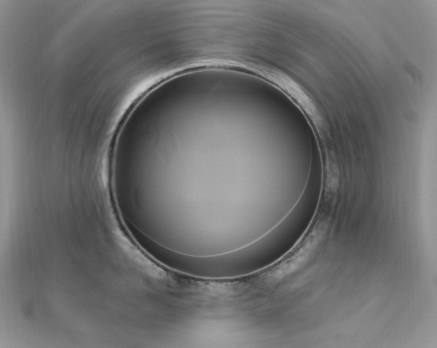 X0000112820958200908211203
