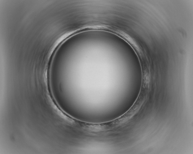 X0000112820959200908211203