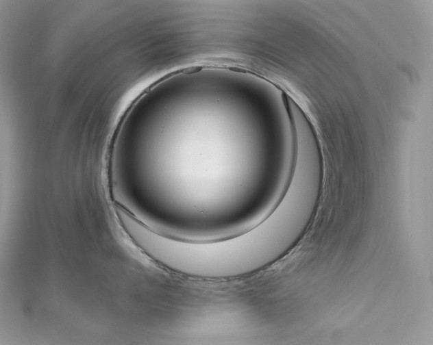 X0000112820960200908211203