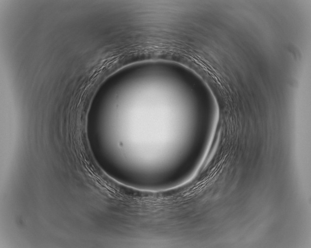 X0000112820961200908211202