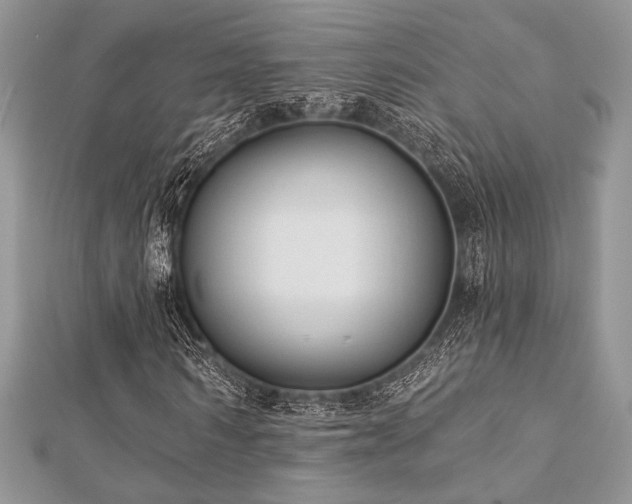 X0000112820962200908211202