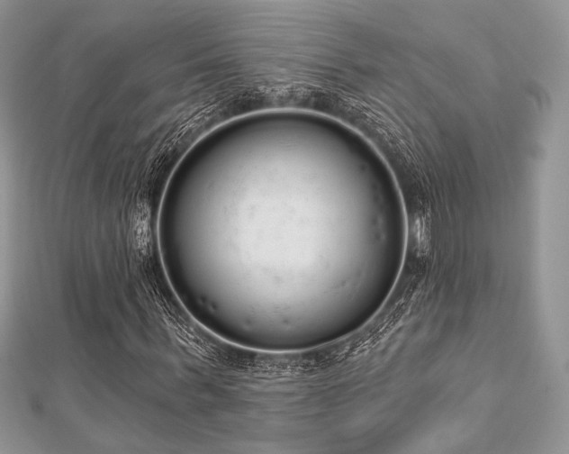 X0000112820963200908211202