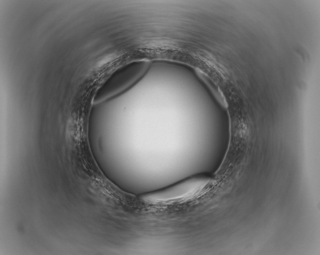 X0000112820965200908211202