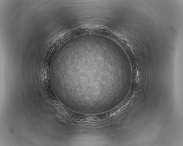 X0000112820966200908211202