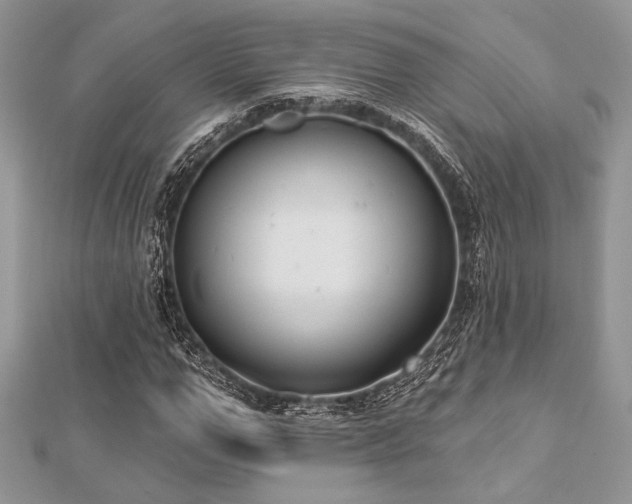 X0000112820967200908211202