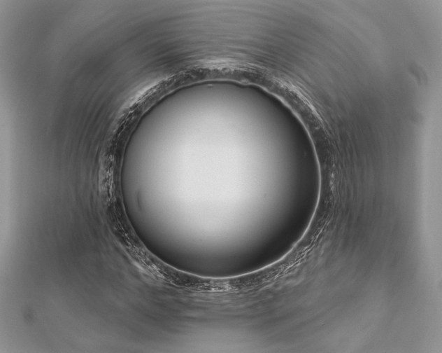 X0000112820968200908211202