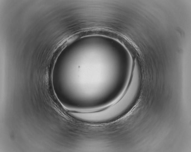 X0000112820969200908211202