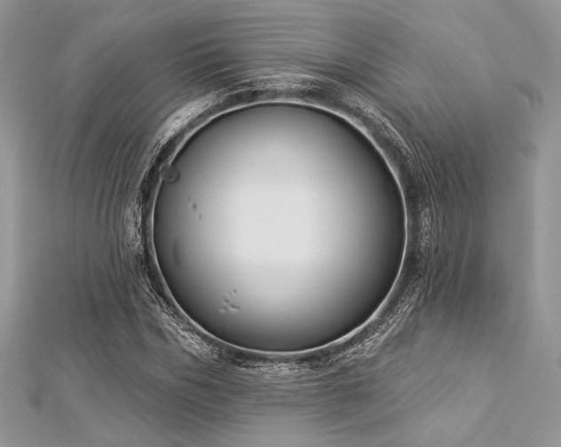 X0000112820970200908211202