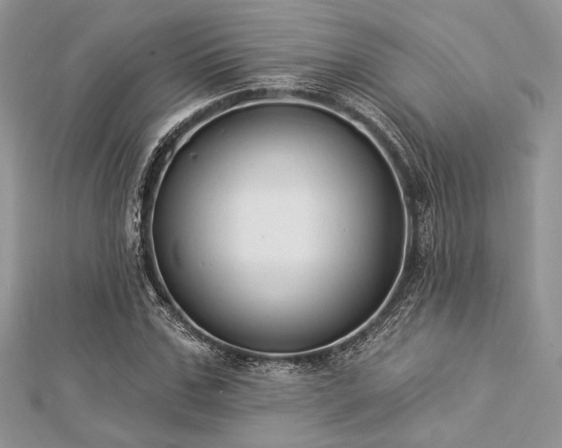 X0000112820971200908211202