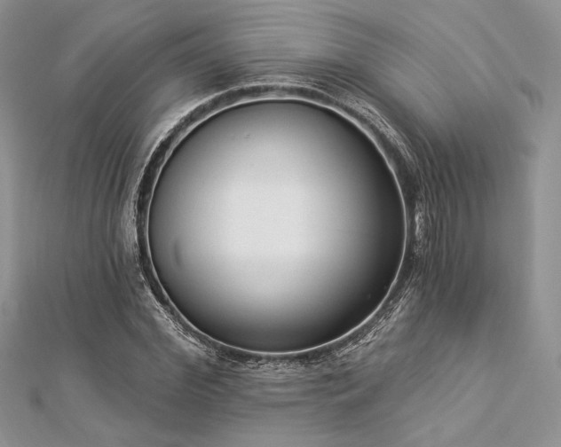 X0000112820972200908211202