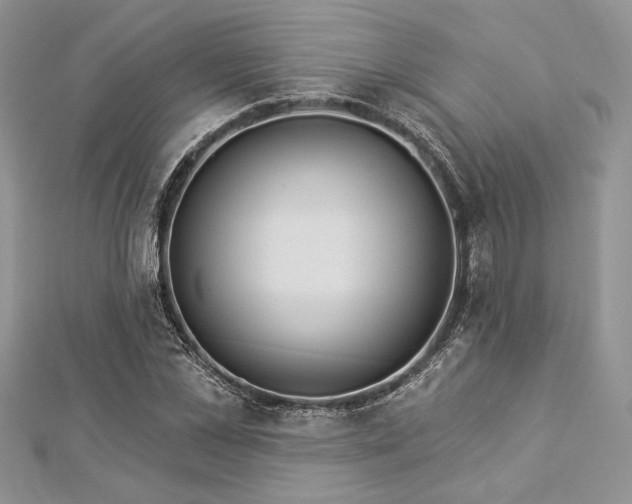 X0000112820973200908211202