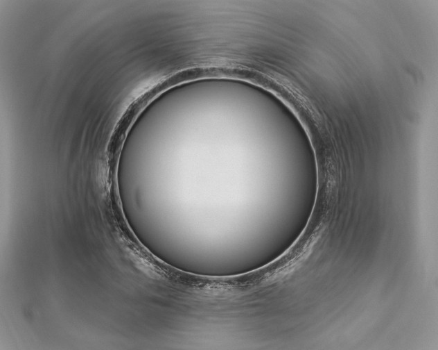X0000112820974200908211202