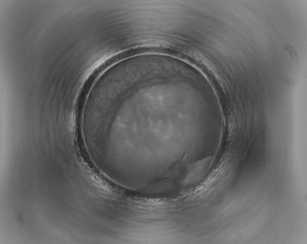 X0000112820975200908211202