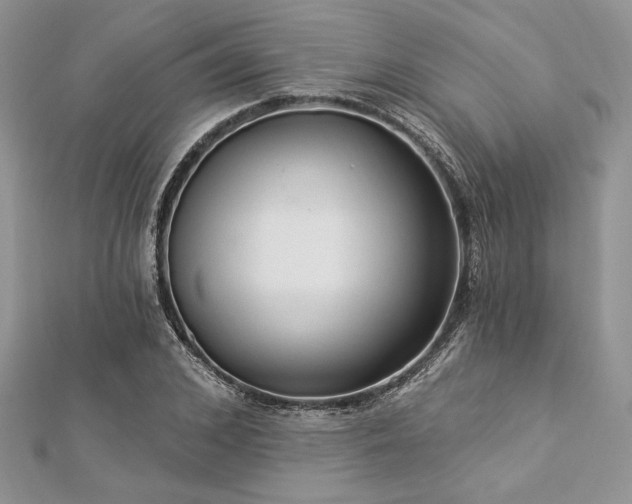 X0000112820976200908211202