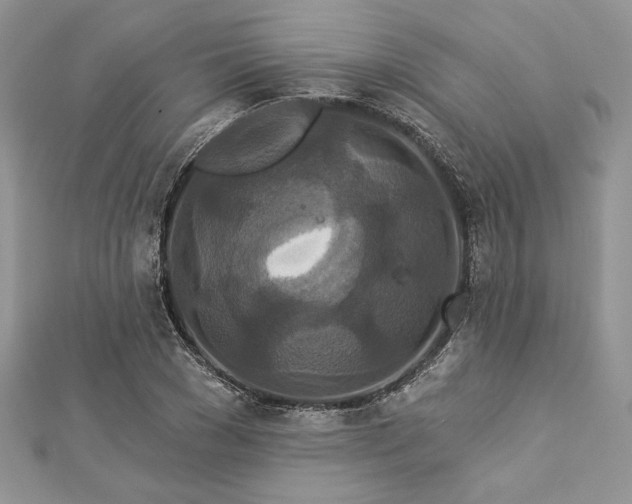 X0000112820977200908211202