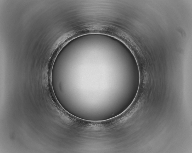 X0000112820978200908211202